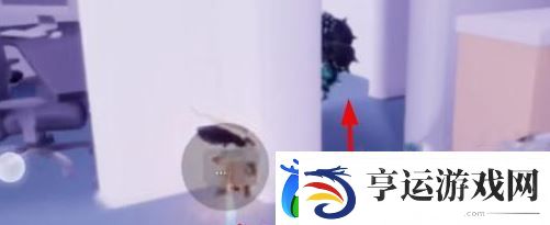 光遇猫窝地图位置介绍