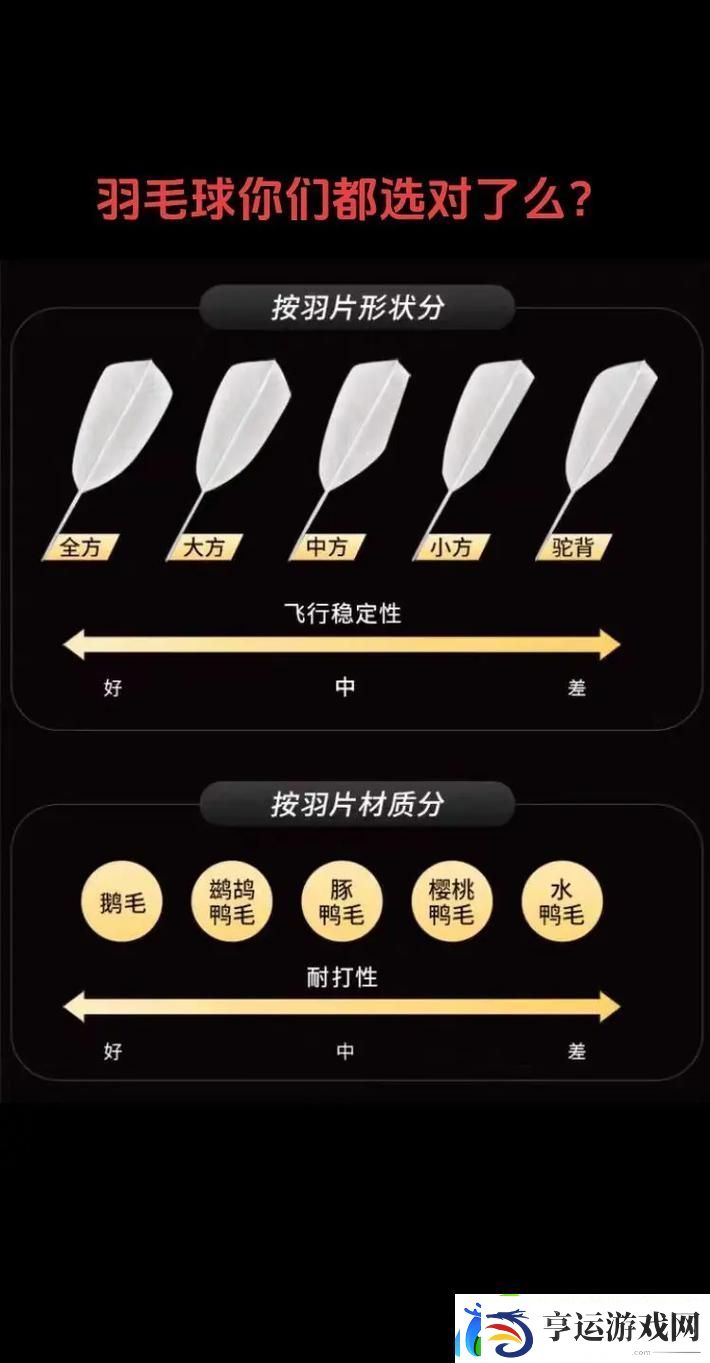 AAAA级毛与AAAA的区别-网友：谁才是“毛”的王者-