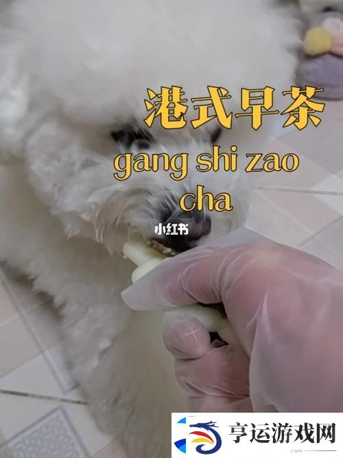 美国人与动物胶配方大全：动物胶在美国手工艺中的应用与发展