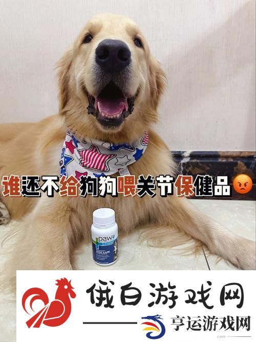 狗和人胶配方20分钟：创造独特情感纽带