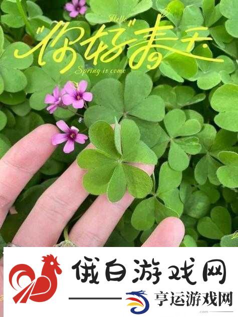 成品人与精品人在四叶草区别上的探讨