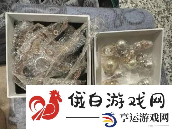 两旅客揣着