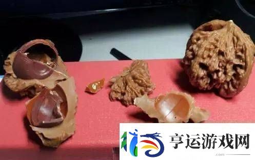 辨别金刚菩提真假