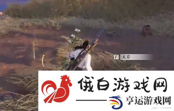 燕云十六声杏花不见怎么获得
