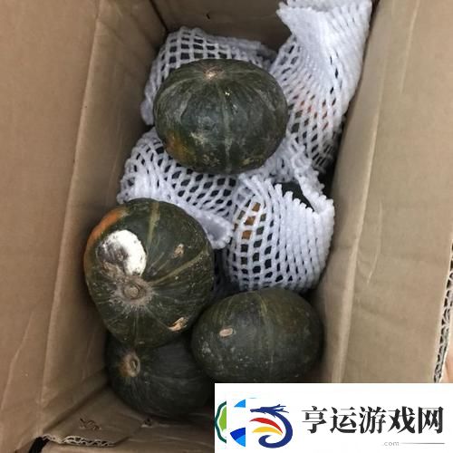 破竹1V2小南瓜：传奇对决的全新篇章