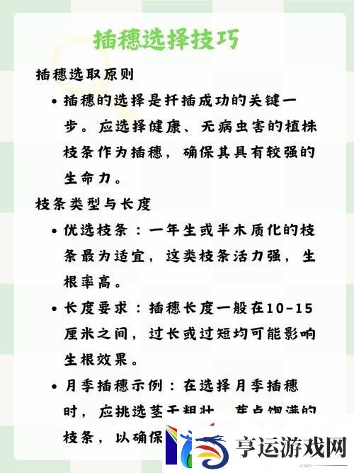 72种扦插方法-探索植物繁殖的艺术