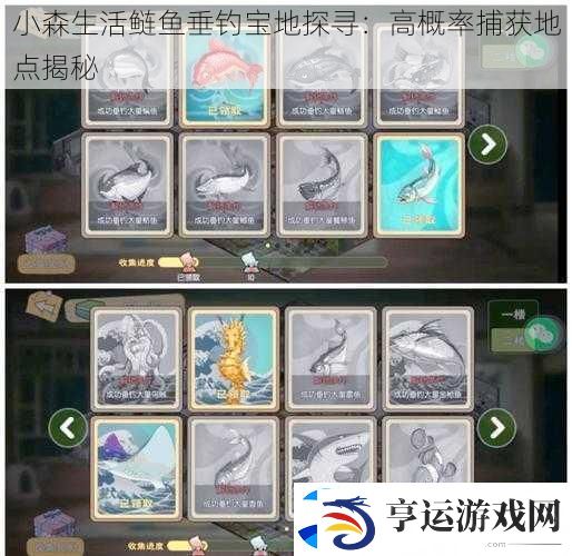 小森生活鲢鱼垂钓宝地探寻：高概率捕获地点揭秘