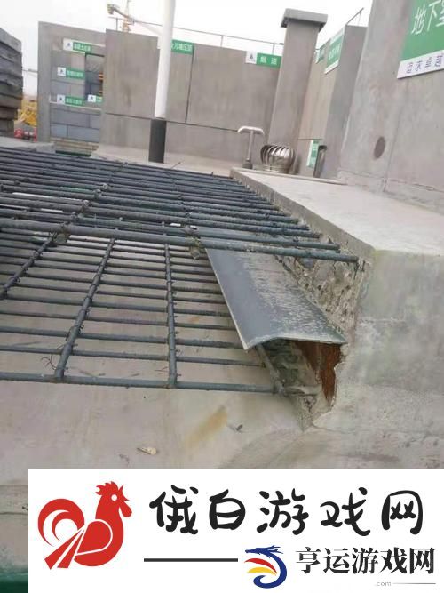烟树小荞的阳春止水-匠心独运的科技狂想曲
