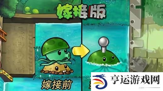 植物大战僵尸嫁接版新植物水雷怎么样-pvz嫁接版新植物水雷介绍