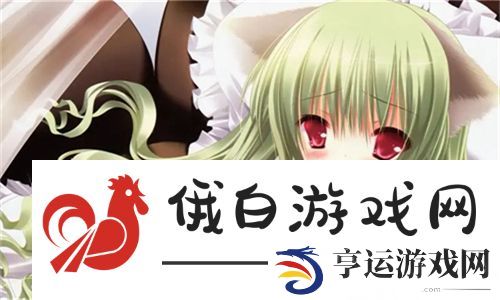 欧美尺码日本尺码专线美国市场揭秘：如何选择适合自己的尺码? 