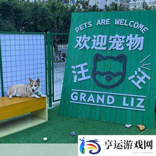 老朋友狗狗之家-温馨上线-打造你的专属萌宠乐园！
