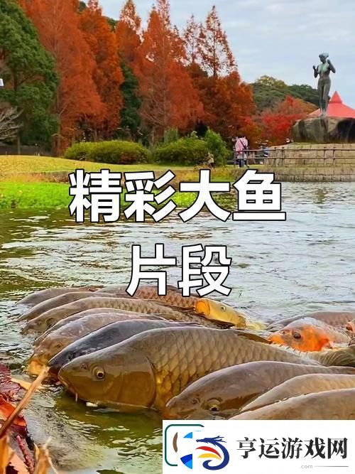 大鱼免费完整版视频引发热议-网友：这部作品让人想起了真实的自我