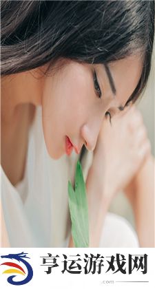 欧美一区二区三曲的：起源、发展与文化背景