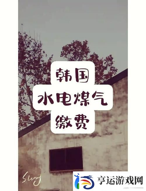 好看的韩国三色电费更新了-平台：新锐消费