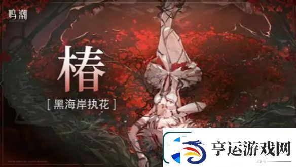 鸣潮洛可可怎么配队鸣潮洛可可最强配队阵容推荐