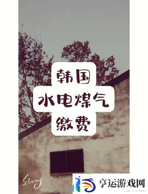 探秘“好看的韩国三色电费”的魅力所在