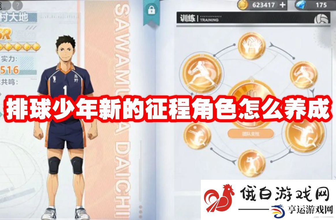 排球少年新的征程角色怎么养成：终极装备获取途径揭秘