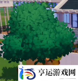 心动小镇12月11日溜溜橡木及无暇萤石位置
