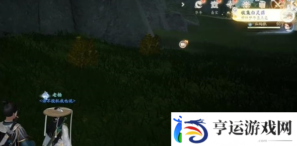 射雕白灵菇怎么收集