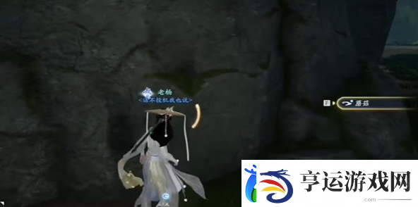 射雕白灵菇怎么收集