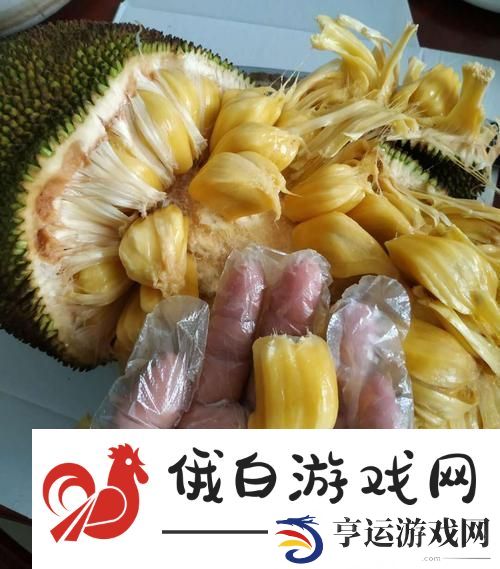 菠萝蜜国际一区-友：探索多样文化的路天堂