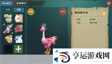 创造与魔法