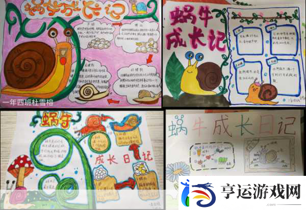 蜗牛回家-一场慢节奏的智慧之旅-等你来探索！