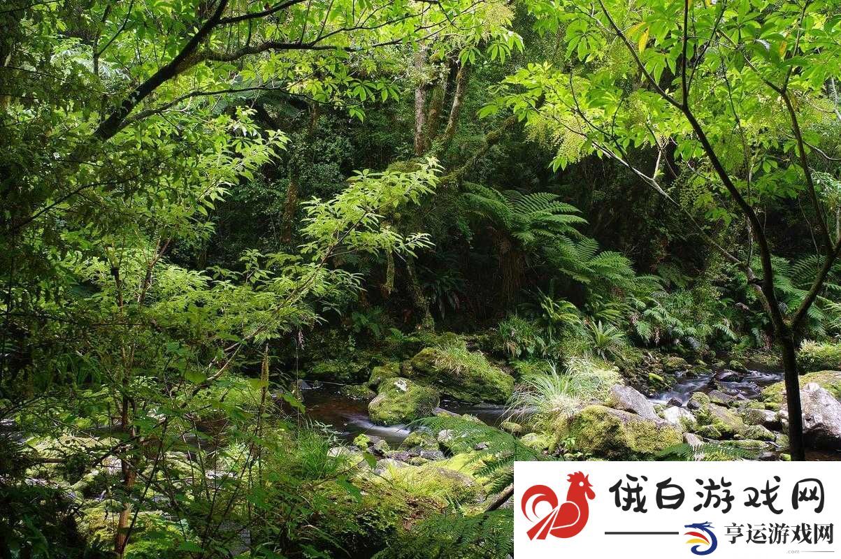 大地资源在线观看在线观看：领略自然之美-探索未知世界