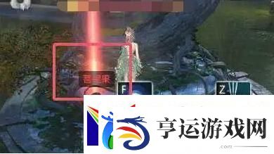 逆水寒手游菩提果怎么获得
